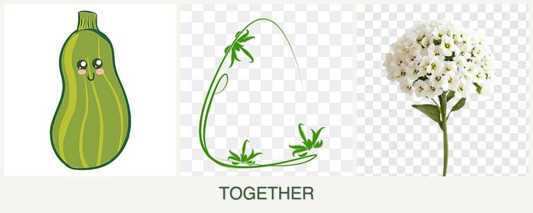 Can you plant zucchini, tarragon and alyssum together?