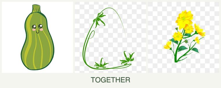 Can you plant zucchini, tarragon and calendula together?