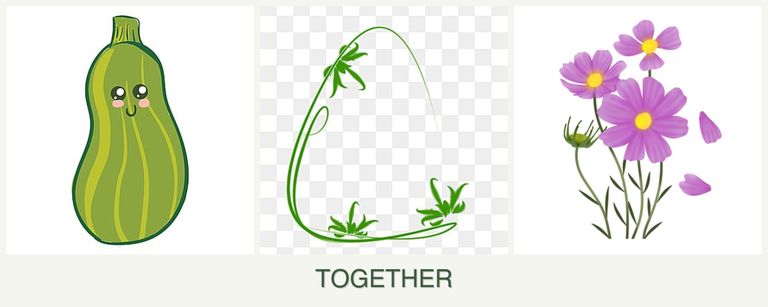 Can you plant zucchini, tarragon and cosmos together?