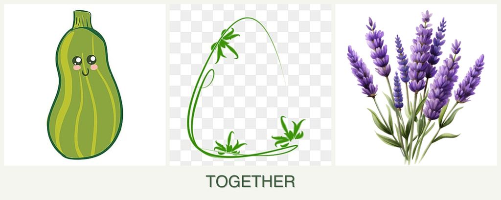 Can you plant zucchini, tarragon and lavender together?