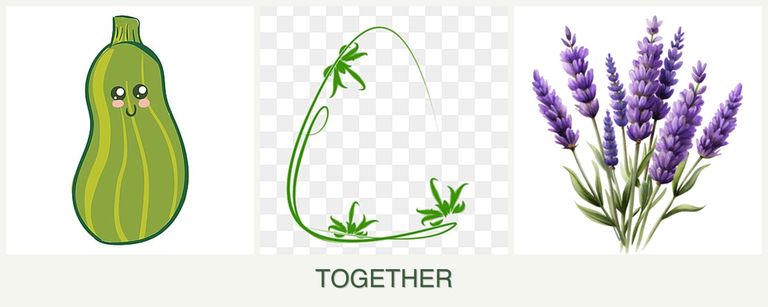 Can you plant zucchini, tarragon and lavender together?