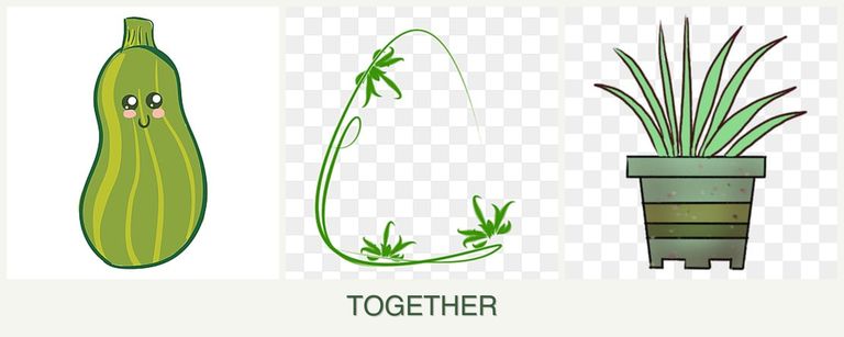 Can you plant zucchini, tarragon and lemongrass together?