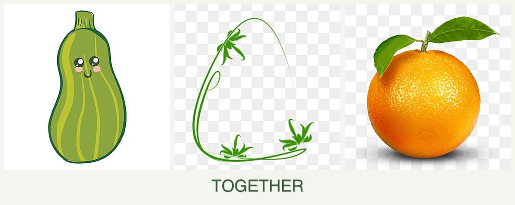 Can you plant zucchini, tarragon and oranges together?