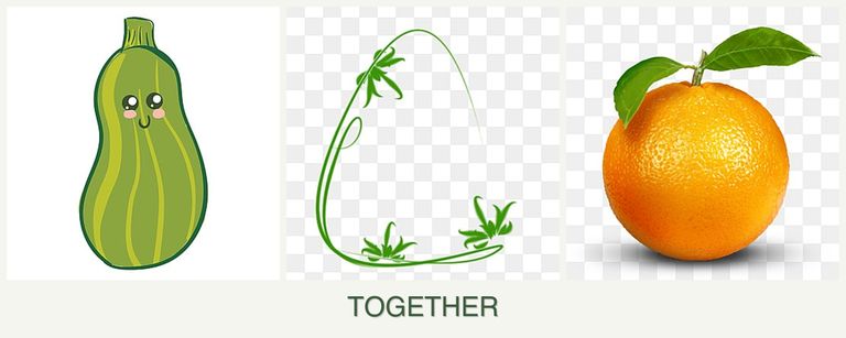 Can you plant zucchini, tarragon and oranges together?