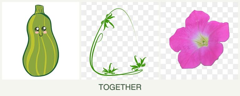 Can you plant zucchini, tarragon and petunias together?