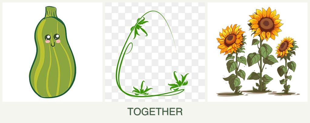 Can you plant zucchini, tarragon and sunflowers together?