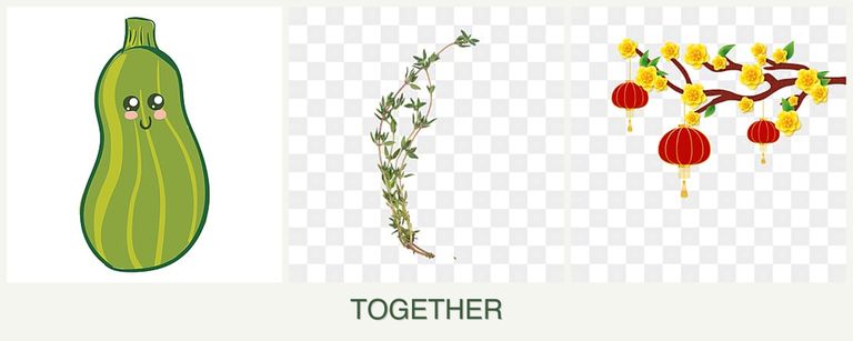 Can you plant zucchini, thyme and apricots together?