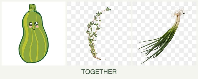 Can you plant zucchini, thyme and chives together?