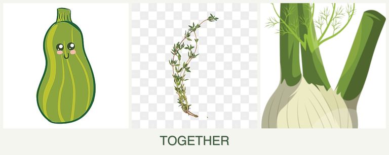 Can you plant zucchini, thyme and fennel together?