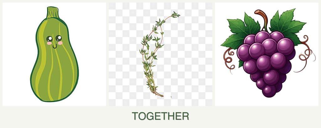 Can you plant zucchini, thyme and grapes together?