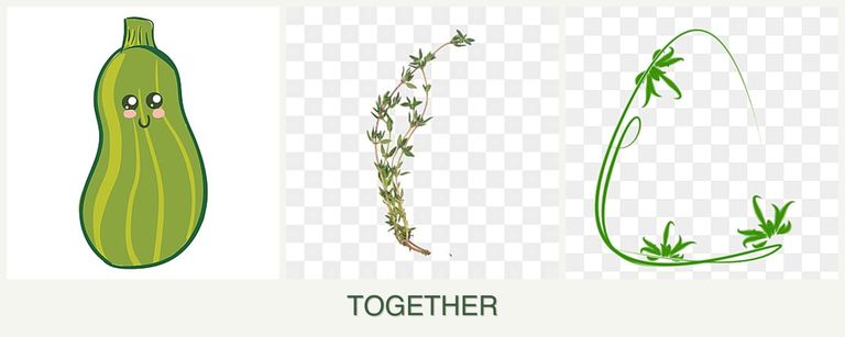 Can you plant zucchini, thyme and tarragon together?