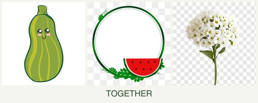 Can you plant zucchini, watermelons and alyssum together?