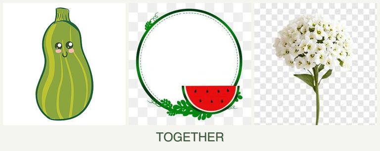 Can you plant zucchini, watermelons and alyssum together?