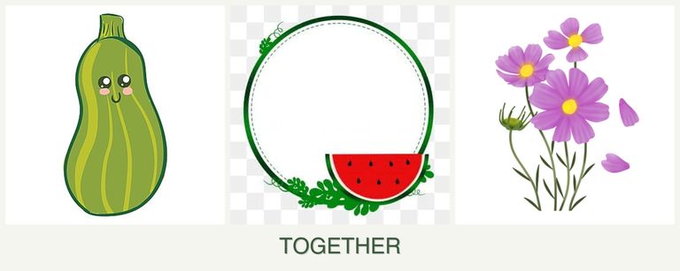 Can you plant zucchini, watermelons and cosmos together?