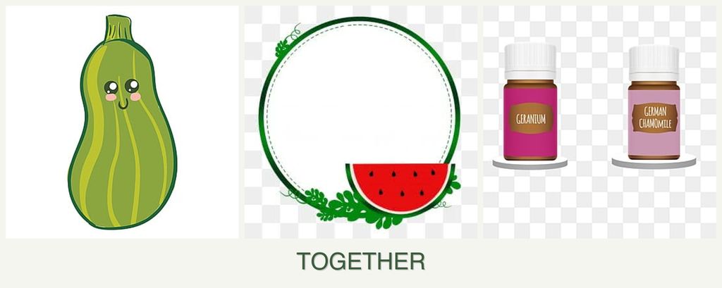 Can you plant zucchini, watermelons and geraniums together?