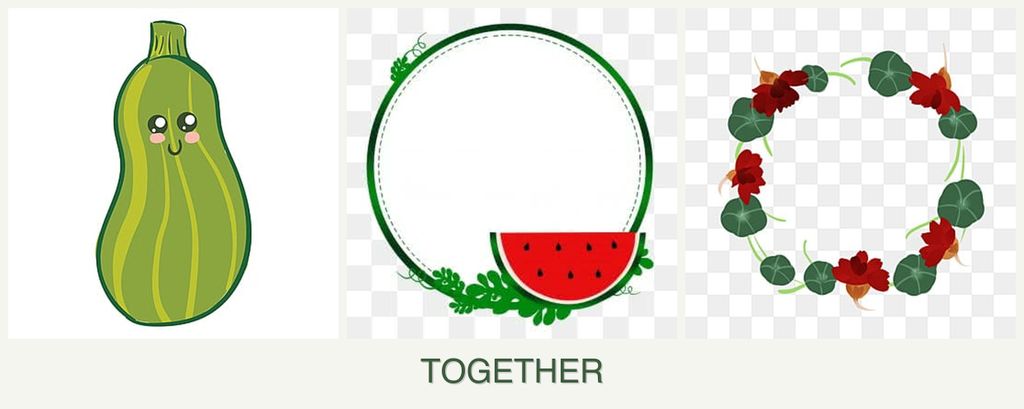 Can you plant zucchini, watermelons and nasturtiums together?