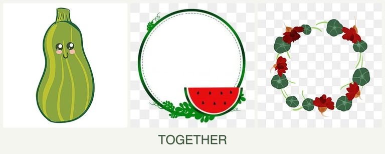 Can you plant zucchini, watermelons and nasturtiums together?