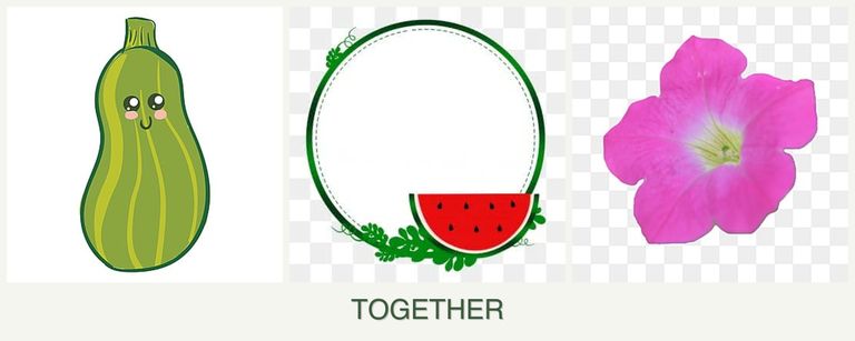 Can you plant zucchini, watermelons and petunias together?