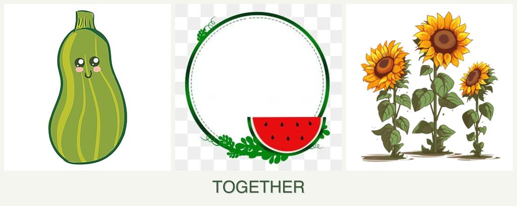 Can you plant zucchini, watermelons and sunflowers together?