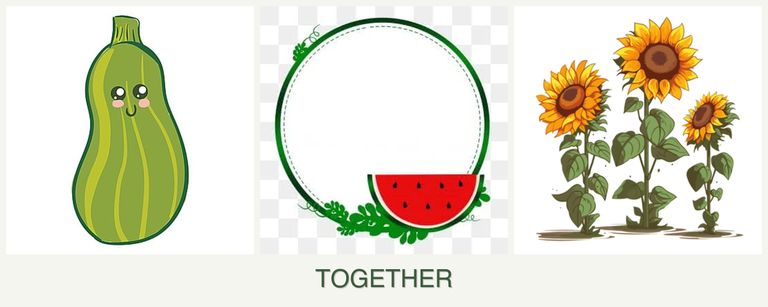 Can you plant zucchini, watermelons and sunflowers together?