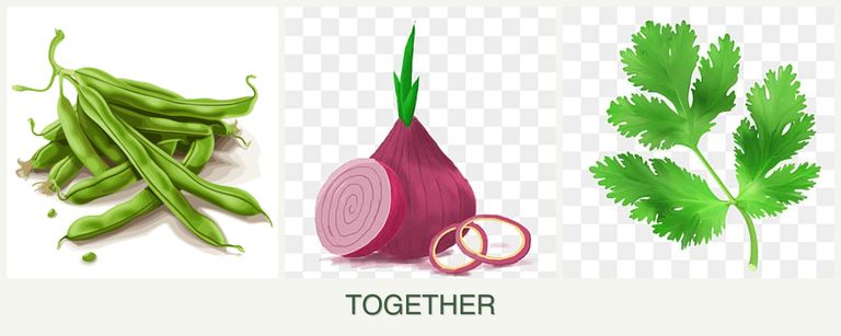 Can you plant beans, onions and parsley together?