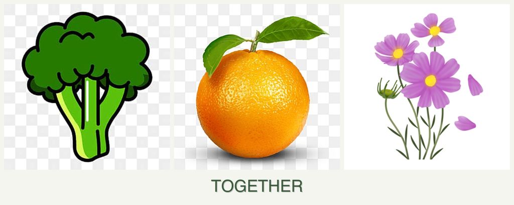 Can you plant broccoli, oranges and cosmos together?
