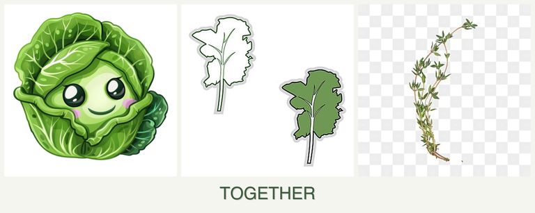 Can you plant cabbage, kale and thyme together?