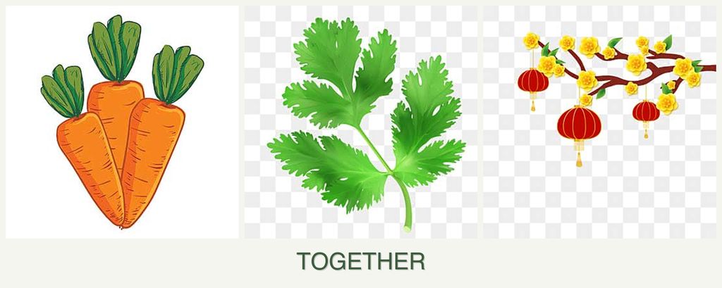 Can you plant carrots, parsley and apricots together?