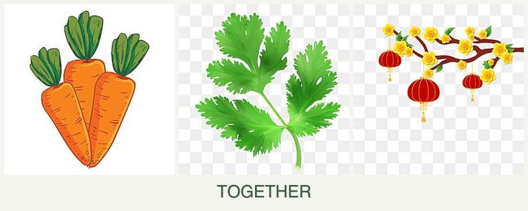 Can you plant carrots, parsley and apricots together?