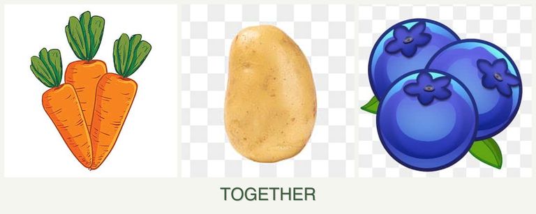 Can you plant carrots, potatoes and blueberries together?