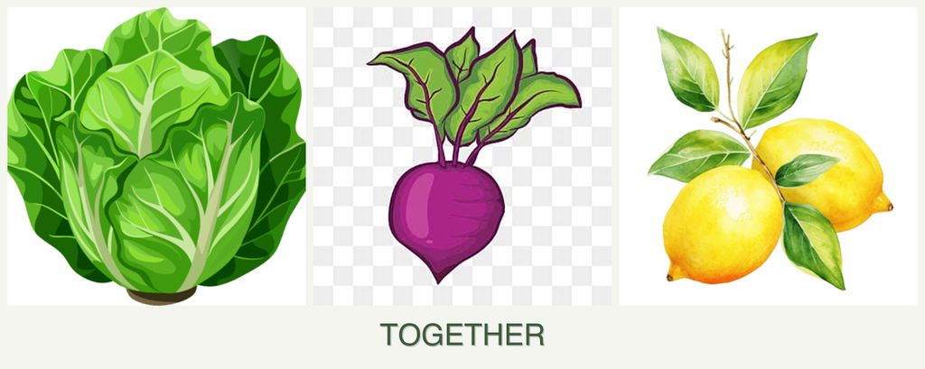 Can you plant lettuce, beets and lemons together?
