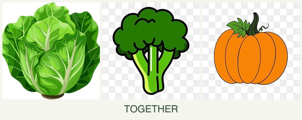 Can you plant lettuce, broccoli and pumpkin together?