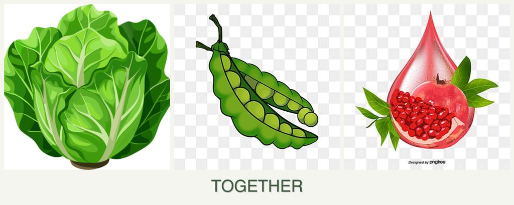 Can you plant lettuce, peas and pomegranates together?