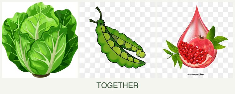 Can you plant lettuce, peas and pomegranates together?