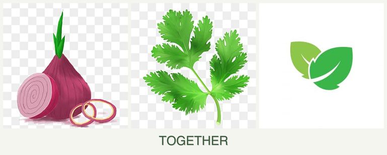 Can you plant onions, parsley and mint together?