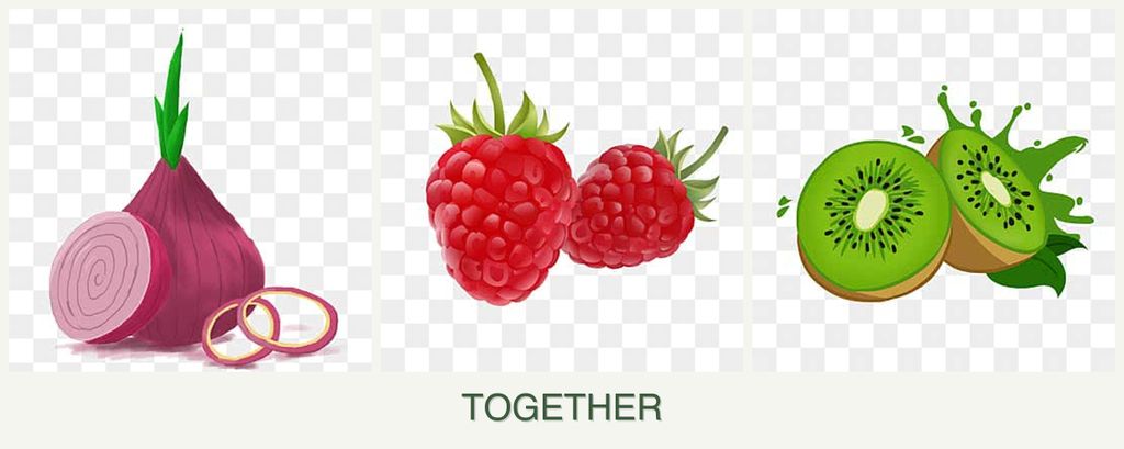 Can you plant onions, raspberries and kiwi together?