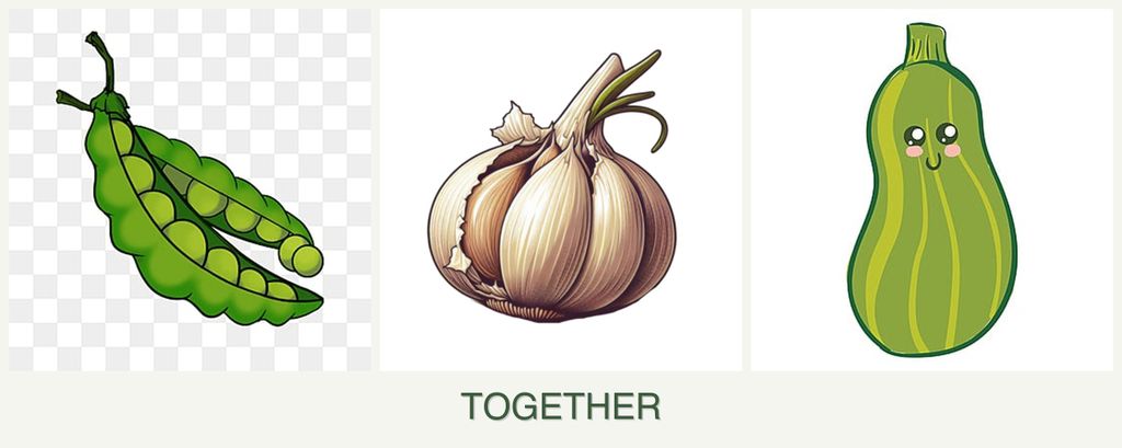 Can you plant peas, garlic and zucchini together?