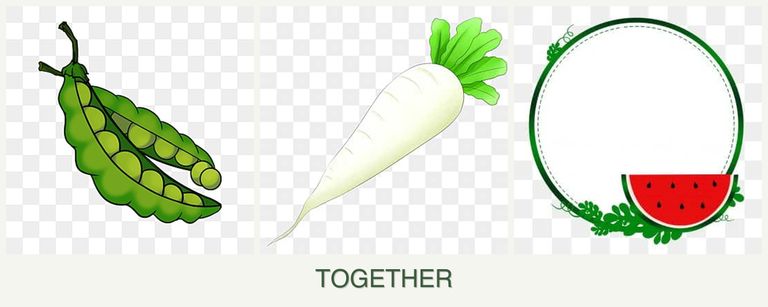 Can you plant peas, radishes and watermelons together?
