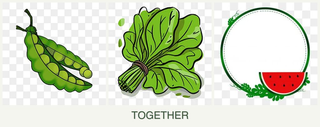 Can you plant peas, spinach and watermelons together?