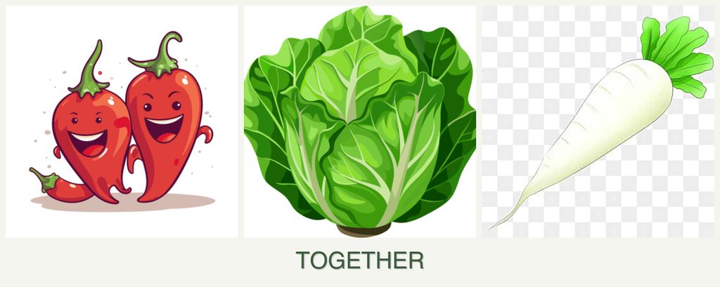 Can you plant peppers, lettuce and radishes together?