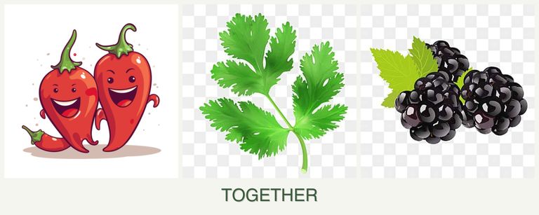 Can you plant peppers, parsley and blackberries together?