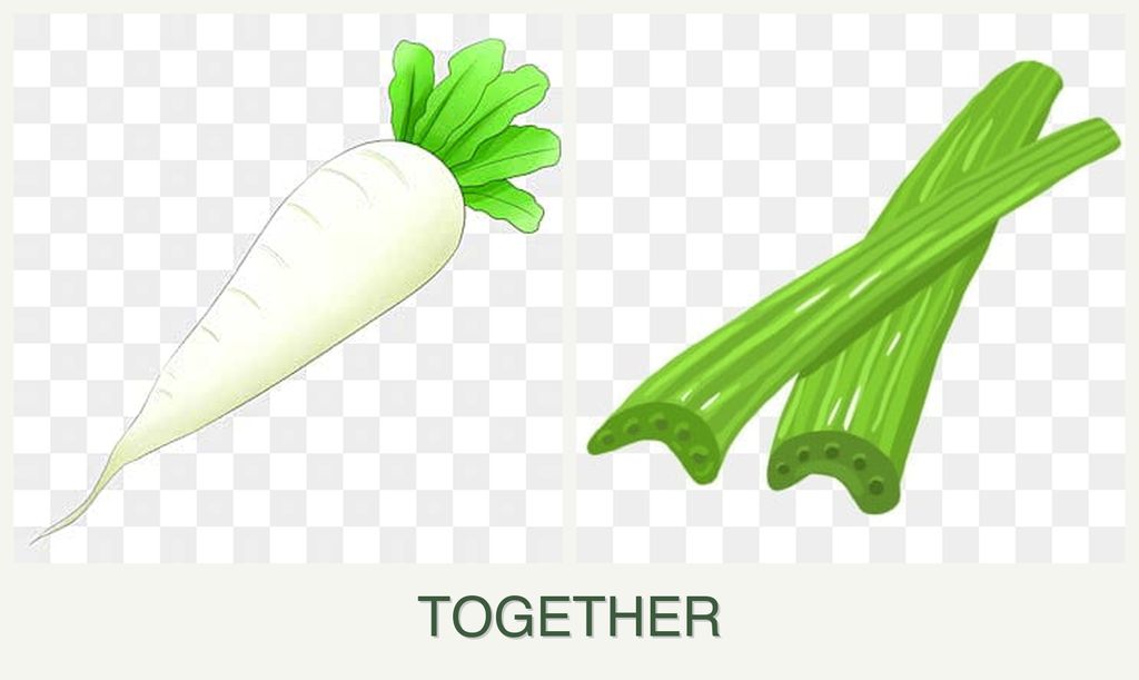 Can you plant radishes and celery together?