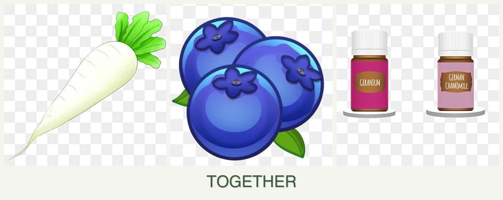 Can you plant radishes, blueberries and geraniums together?