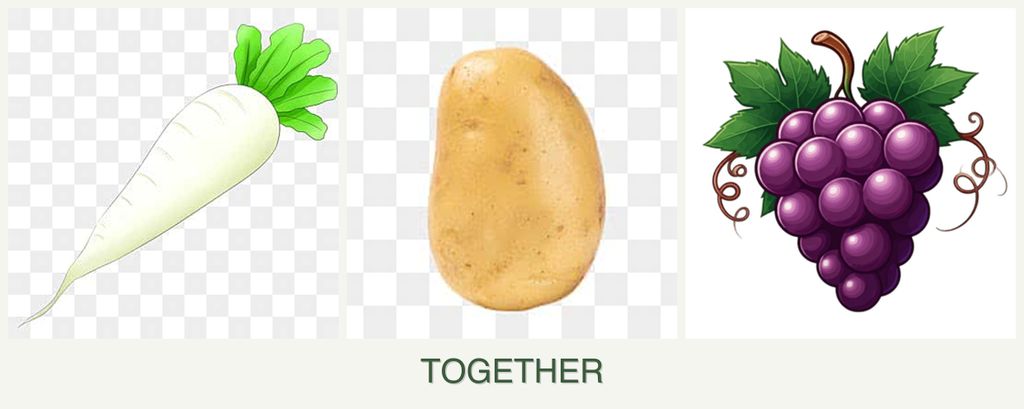 Can you plant radishes, potatoes and grapes together?