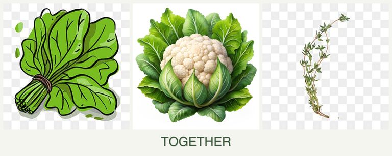 Can you plant spinach, cauliflower and thyme together?