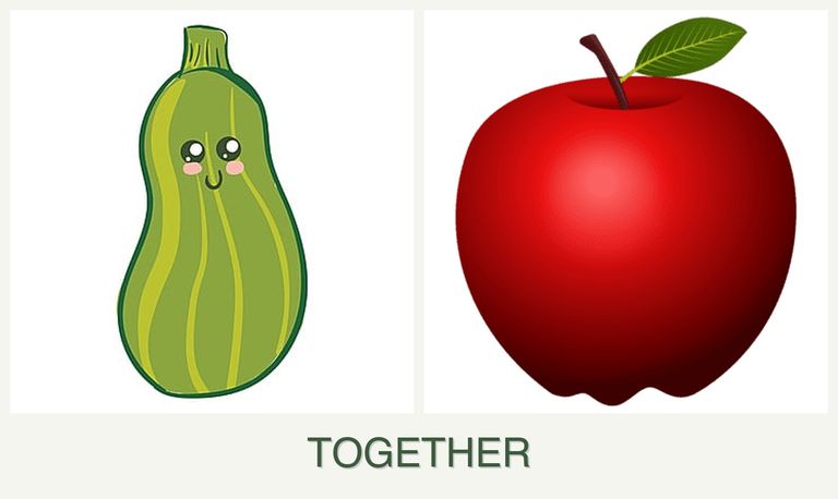 Can you plant zucchini and apples together?
